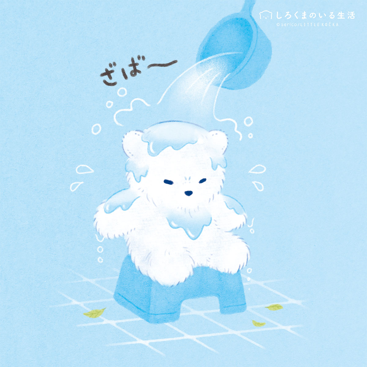 しろくまのいる生活🧸serico tweet media