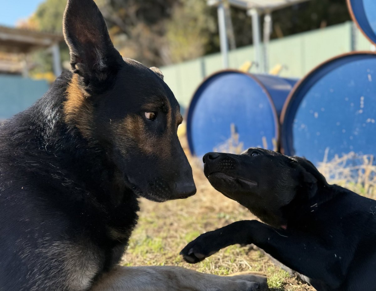 高知県警察本部 tweet media