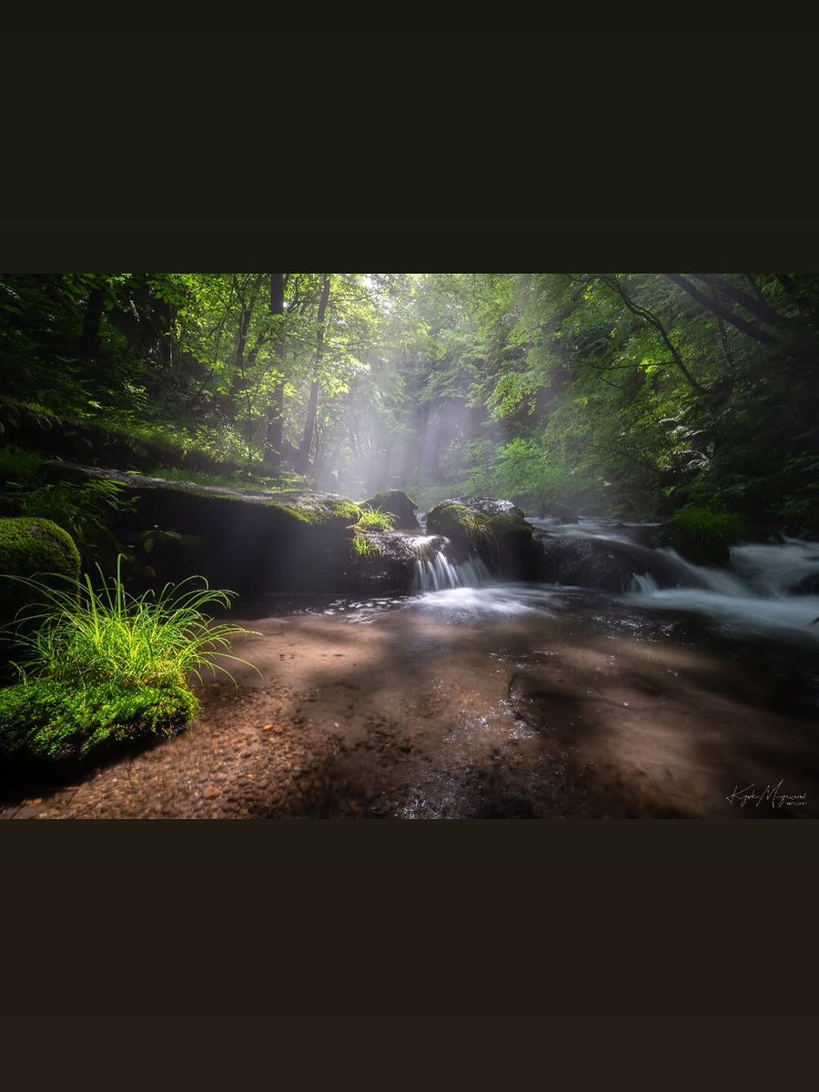 FotoproOfficial's tweet photo. “Quick setup, stress-free shooting.” – ig@apu_blossom
The slim, lightweight Origin Plus tripod held strong on ridges and in currents. Is your tripod this portable AND stable?
👉 https://t.co/EdIsYWpMiL
#Fotopro #travelphotography #landscaping #photography https://t.co/NzVYH0XcUH