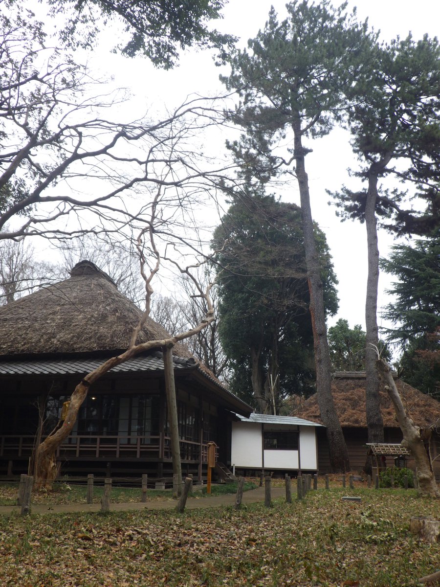 park-lee (@fromsetagaya) / Posts / X