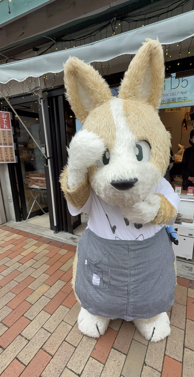 2742256CHARAMEL's tweet photo. 可愛い系も似合うこーたU*´Д`U🎀♡
おでん最終日泣くこーた…
パンチくんの真似するこーた🐒
@p_welsh_corgi
#コギこた
#TD5 https://t.co/vK7WH2AdOe
