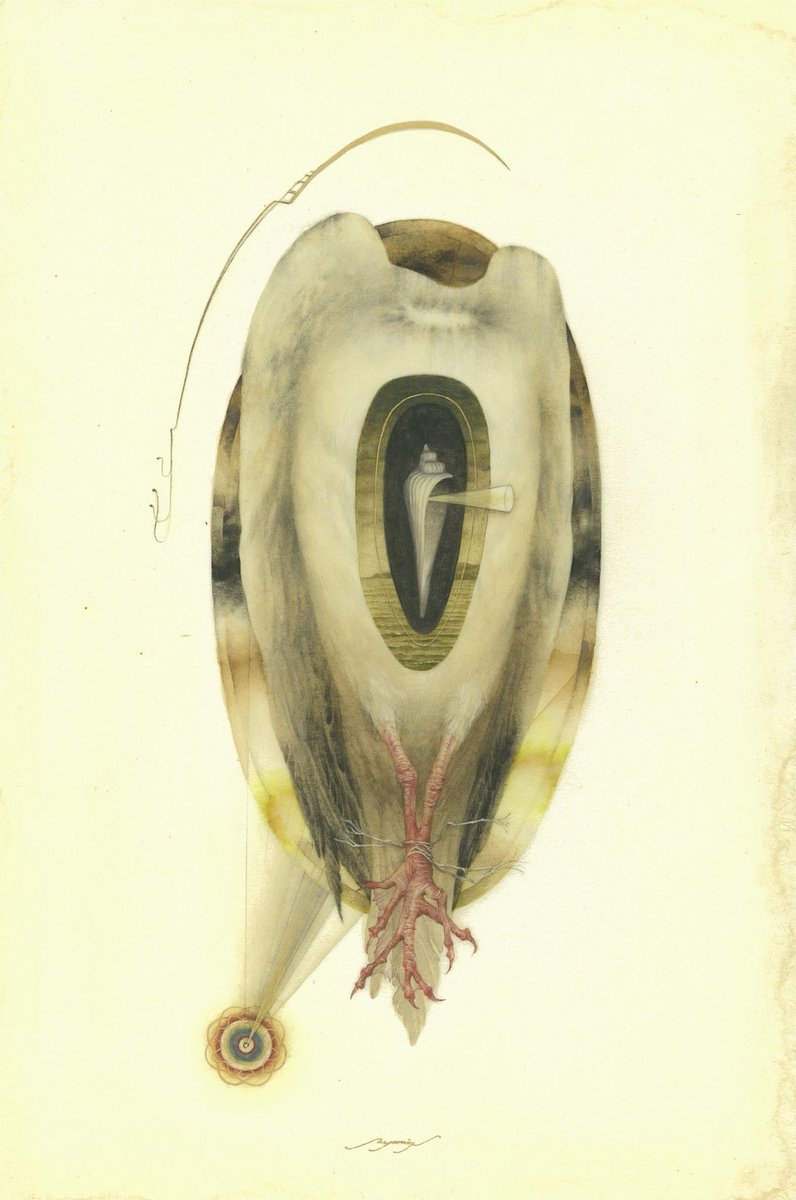 中島 綾美 𝒂𝒚𝒂𝒎𝒊 𝒏𝒂𝒌𝒂𝒔𝒉𝒊𝒎𝒂 tweet media