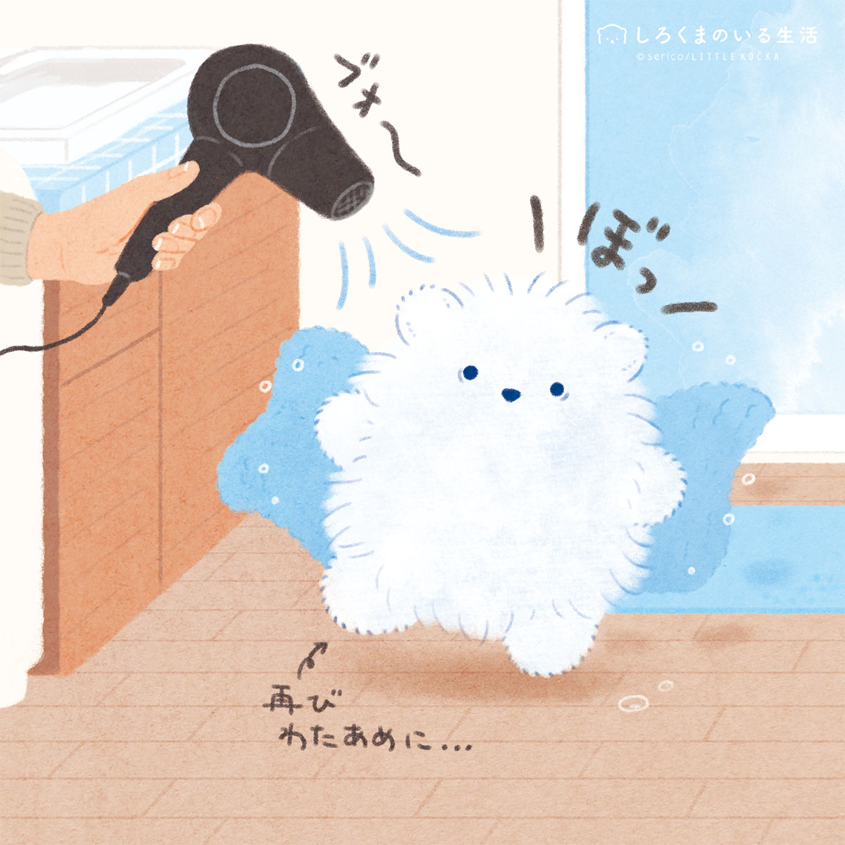 しろくまのいる生活🧸serico tweet media