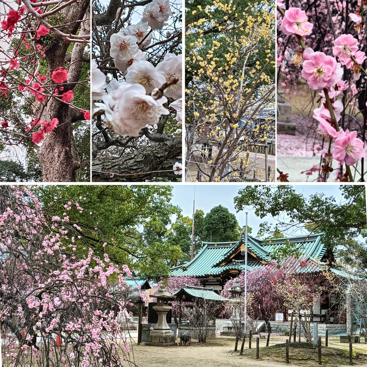 MOKOMOKO0210 tweet media