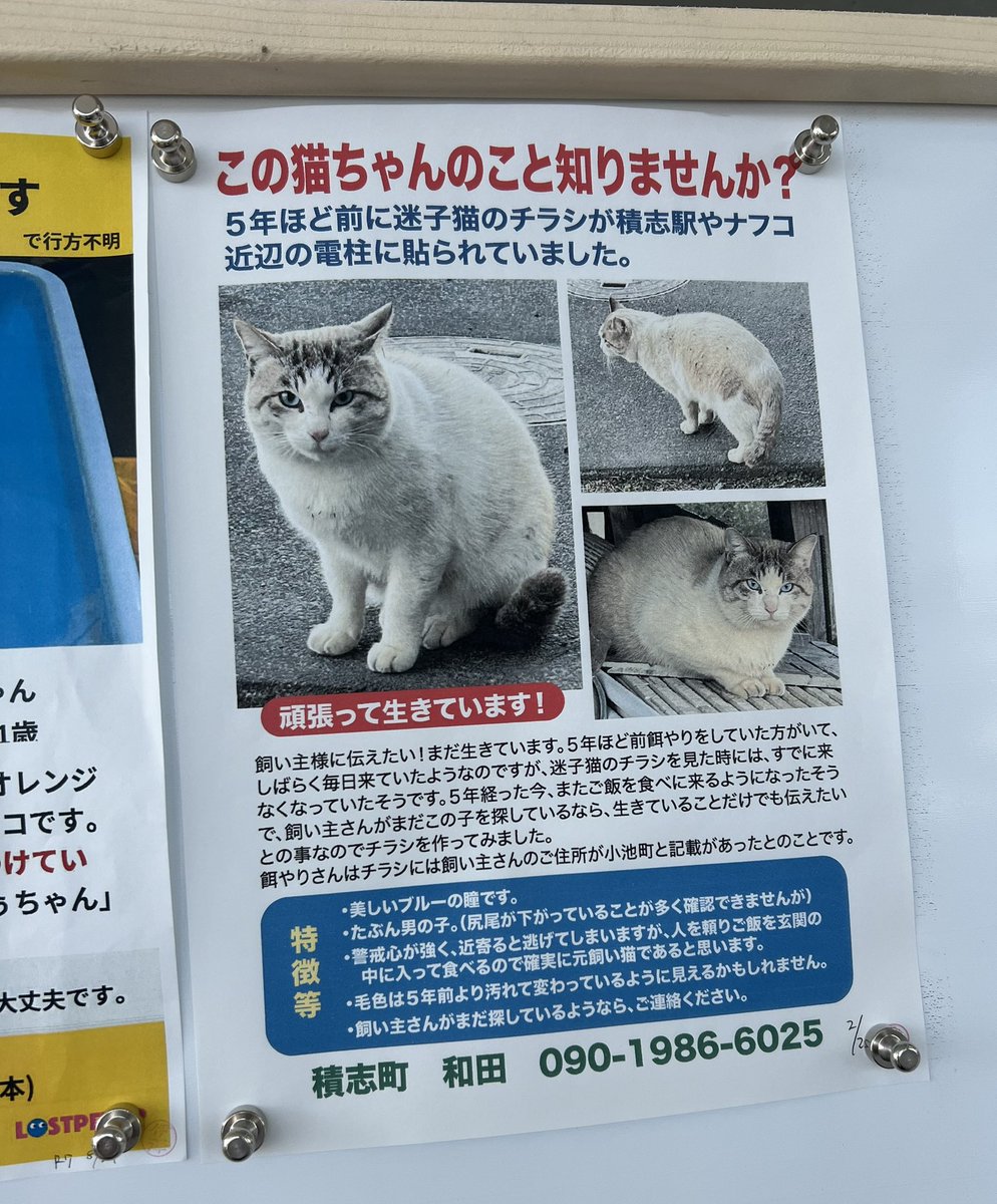 かにかに (@kanisunacha) / Posts / X