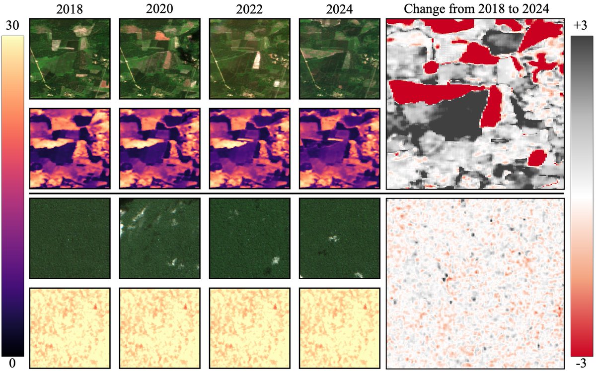 How do the forests in your home town grow? 🌲

We just released ECHOSAT — the first global tree height map at 10 m resolution tracking forest dynamics from 2018 to 2024.

🔗 arxiv.org/abs/2602.21421
🔗 janpauls.org/projects/echos…