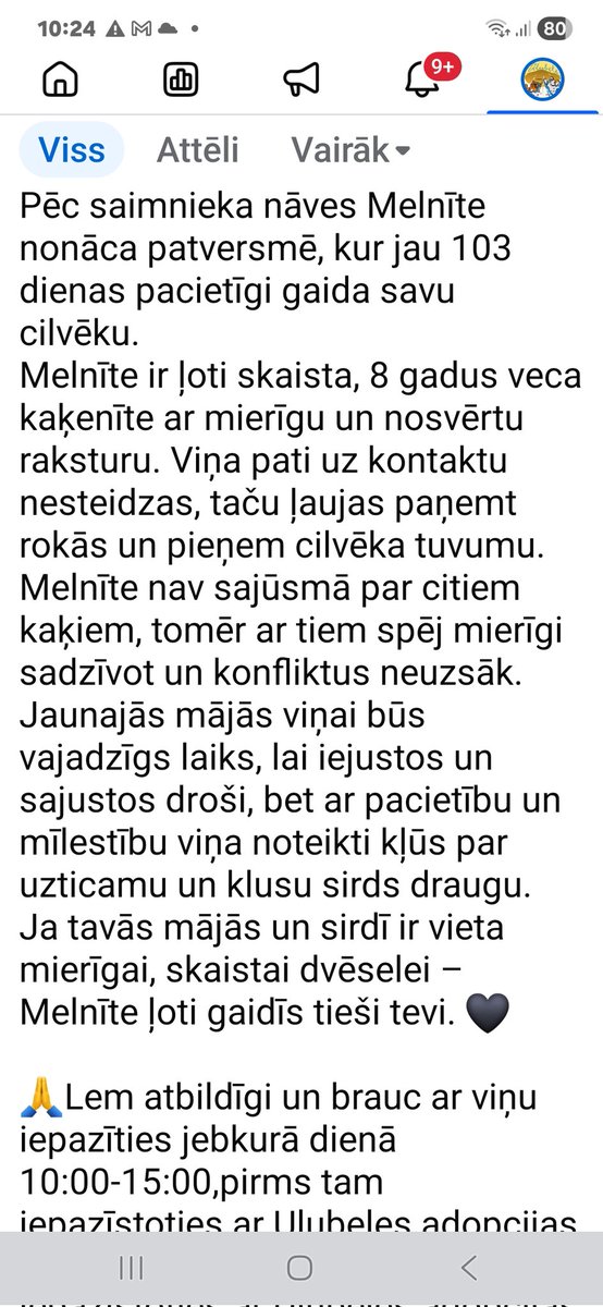 Ulubele tweet media
