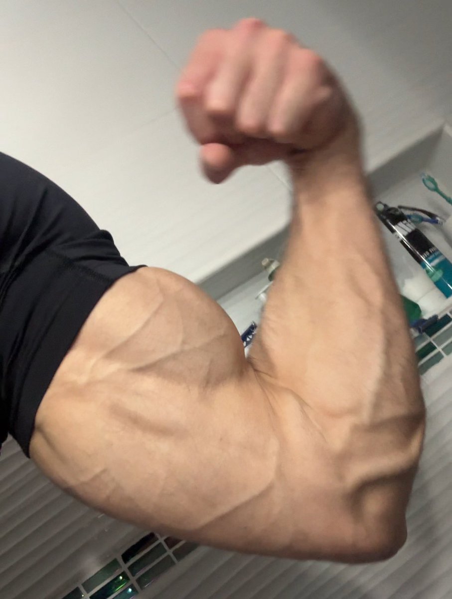 Persian Prince tweet media