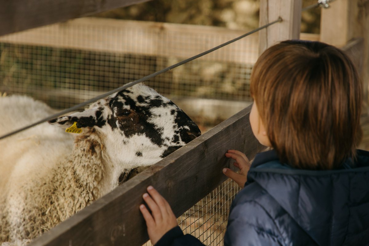 Barcelona és molt més tweet media