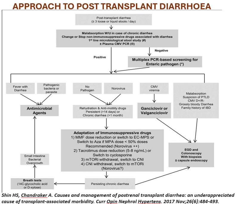 samathatoopran's tweet photo. Here's a comprehensive approach to evaluation of Post Transplant Diarrhoea
#ECNeph @ISNeducation @ISNkidneycare @Dilushiwijay @myadla https://t.co/rKQ0kxTM2r