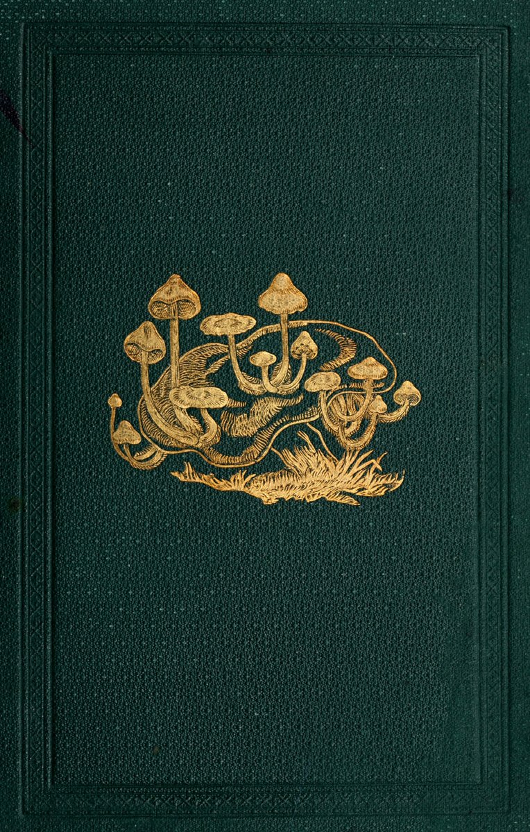 British fungi. 1886. Book cover.