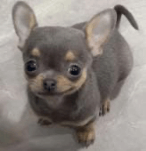 swimmiery's tweet photo. @yukitoes__ i rarely interact with you but hello https://t.co/9agqeUaEkc