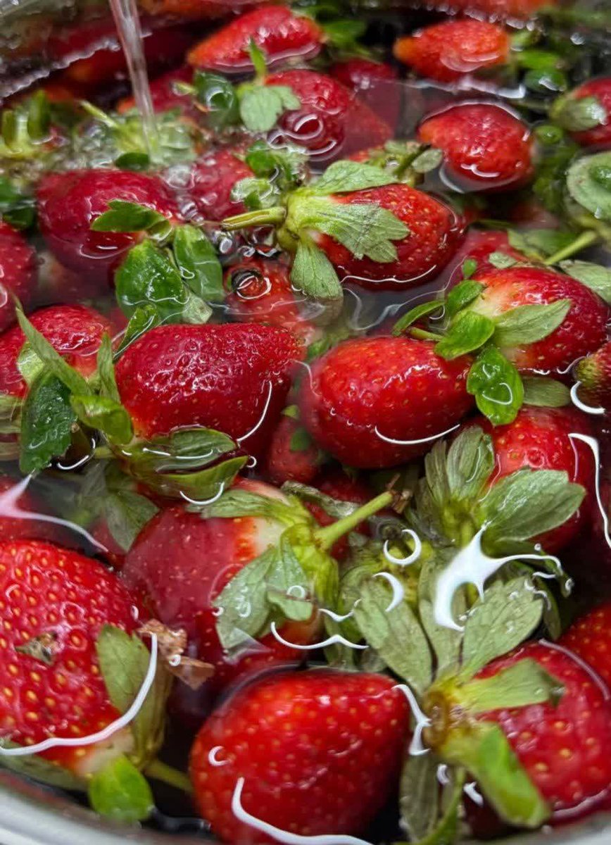 الحاج ميرزا محمد إسماعيل دولابي:
إذا شعرتَ بالحزن، فاستغفر لنفسك ولجميع المؤمنين، الأحياء منهم والأموات، ومن يأتي بعدك. إن الحزن كجلدٍ مُجعّد، وإذا استغفرتَ انفرجت هذه التجاعيد
#رمضان_شهر_الخير