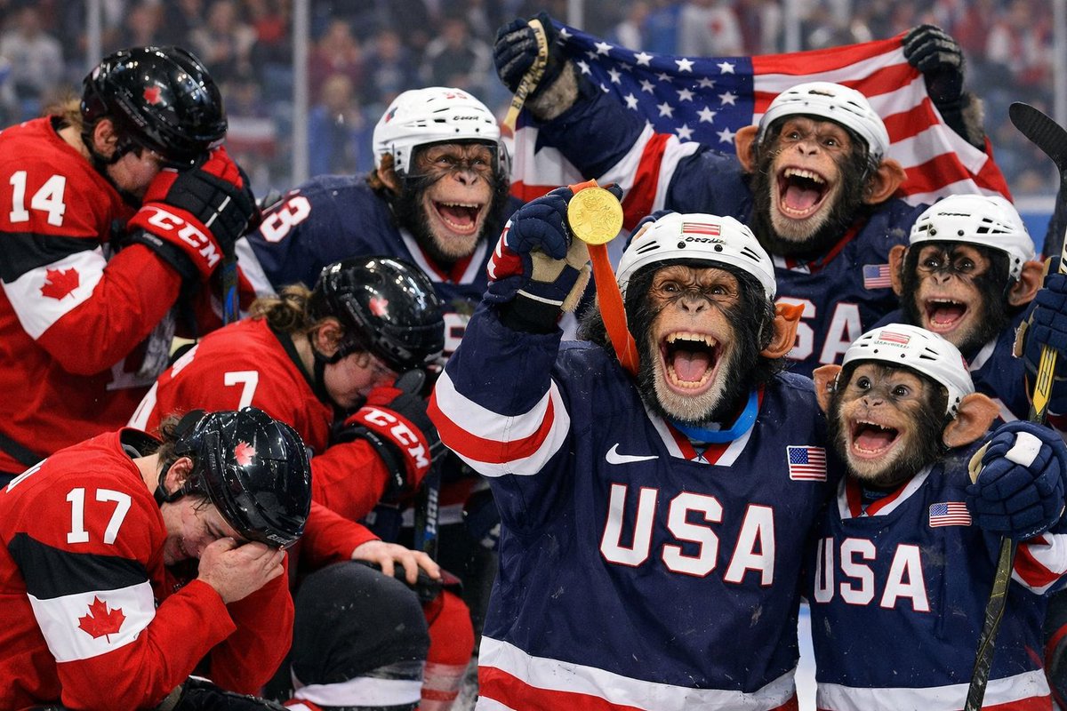 DeplorableSEO's tweet photo. @globeandmail To be clear, the @globeandmail is admitting that Canadian hockey is so pathetic, Team Canada cannot beat a team of monkeys. https://t.co/5xoXjCBdmx