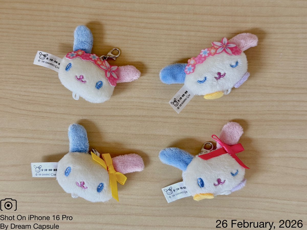 ドリームカプセルの中の人【公式】 tweet media