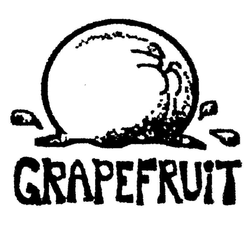 PomPomBlog tweet media