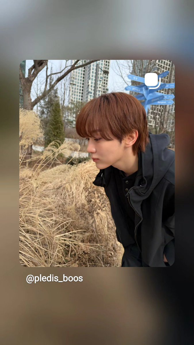 BOO STAGRAM tweet media