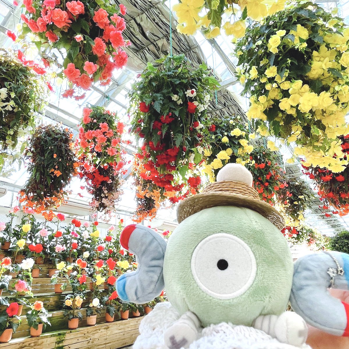 みなも🫧 tweet media