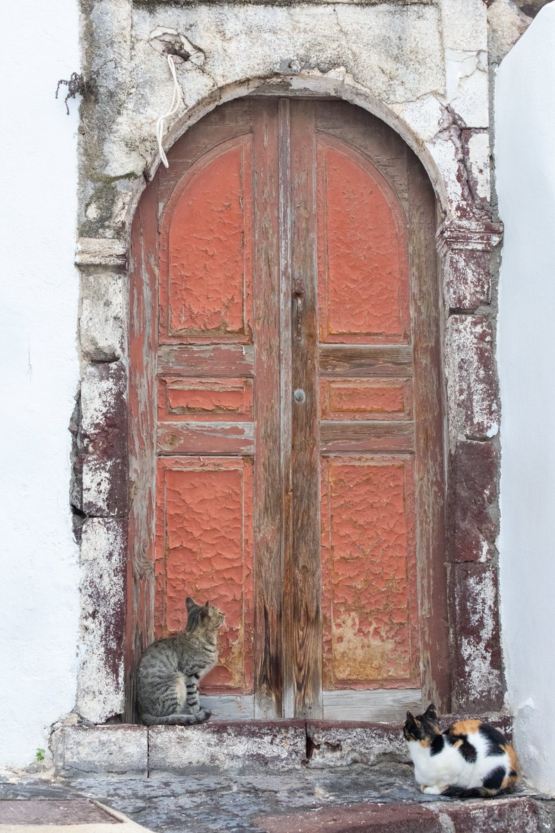 Ktuck_79's tweet image. This #AdoorableThursday is a favourite door from Santorini. 🧡 

#Doors #NoContextDoors #History #Antique #ThursdayMorning