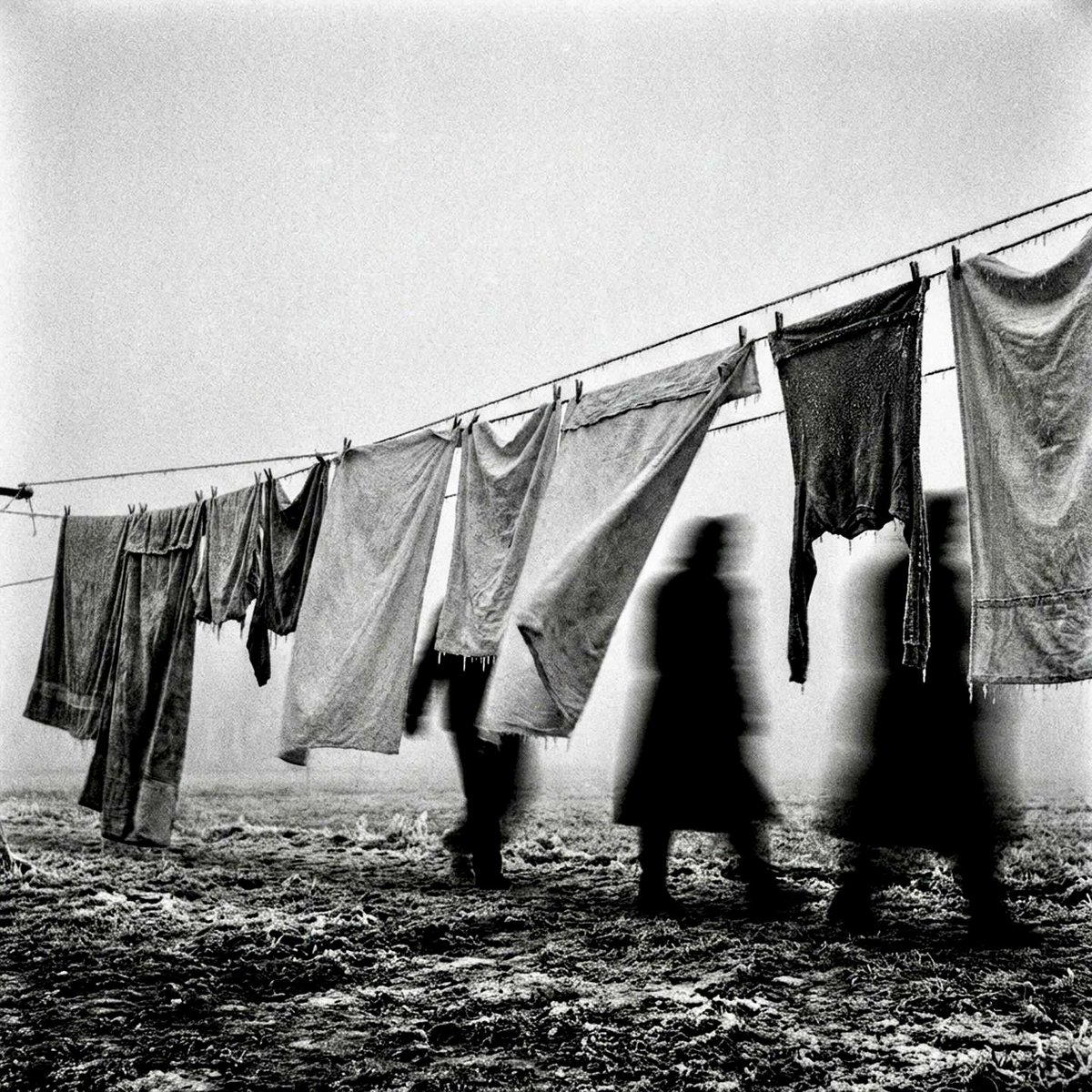 Henk Heijmans tweet media