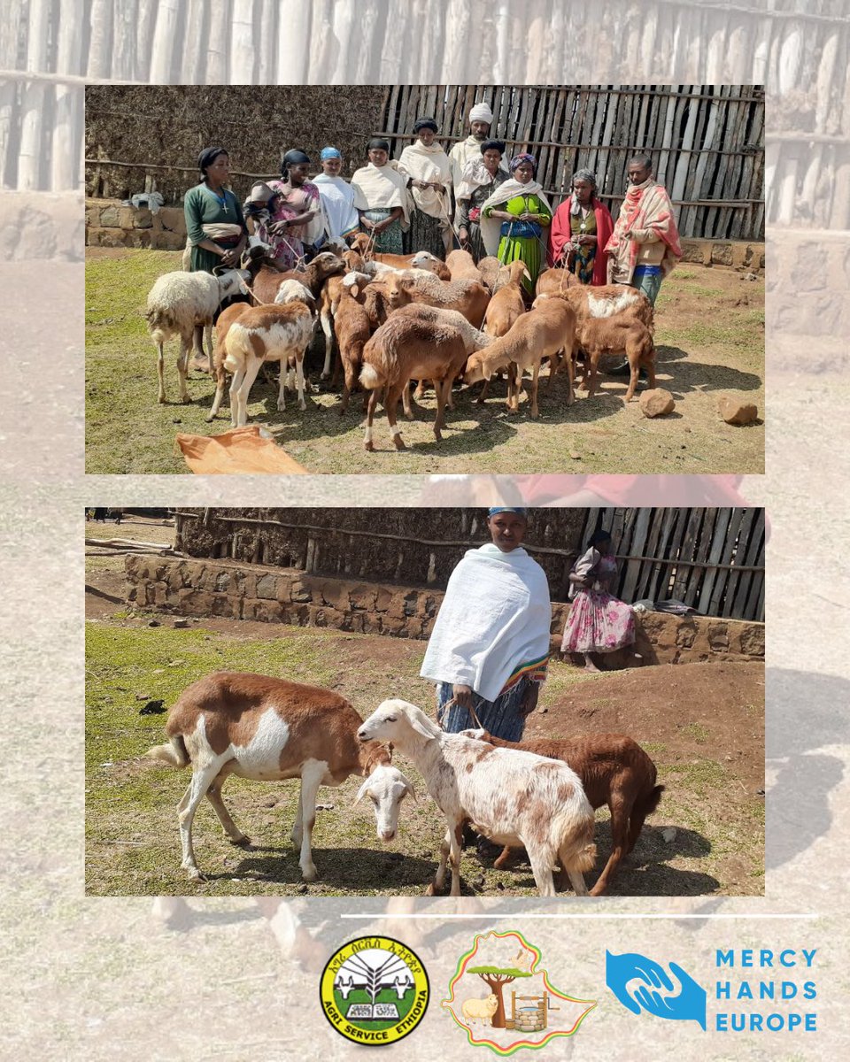 Mercy Hands Europe tweet media