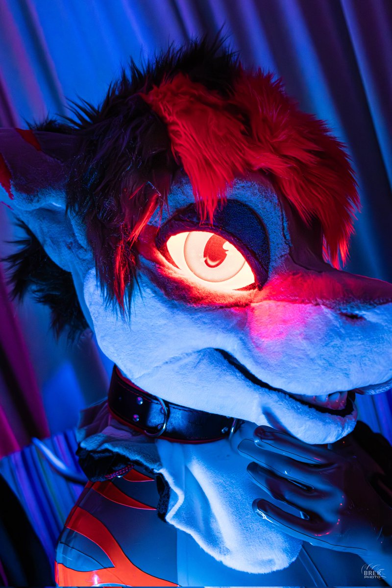 Shiny Shark🦈 tweet media