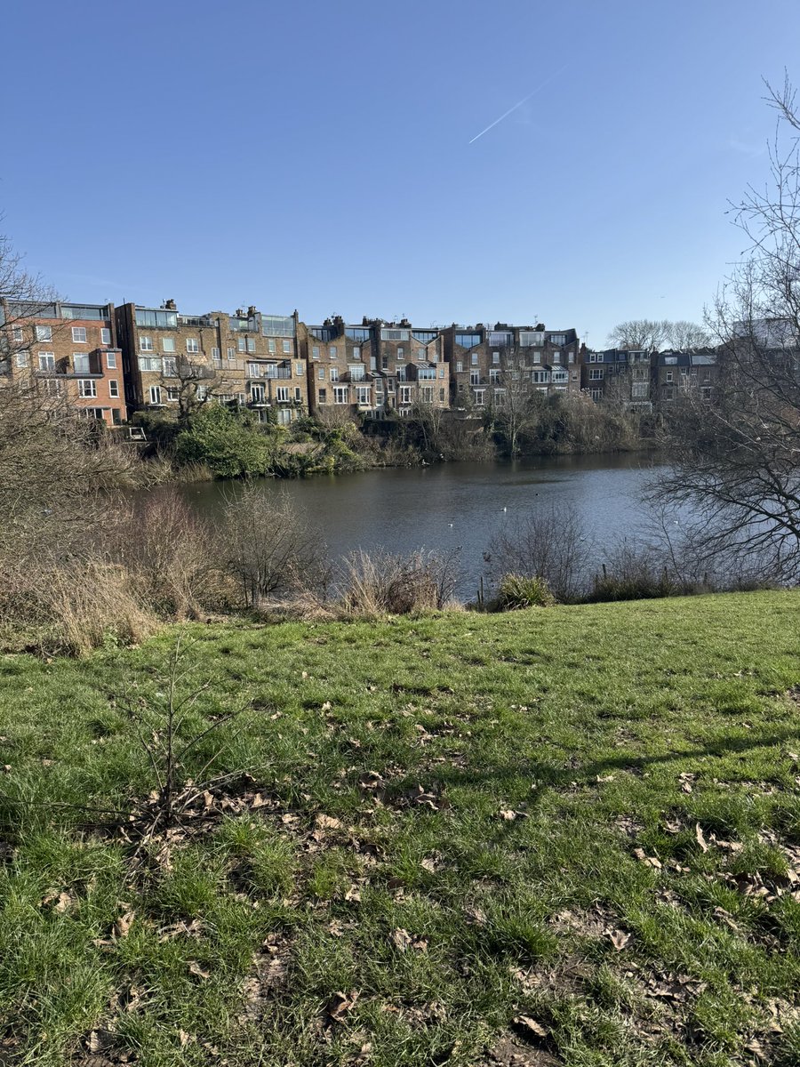 Hampstead High St tweet media