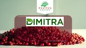 Dimitra Sub-Sahara tweet media