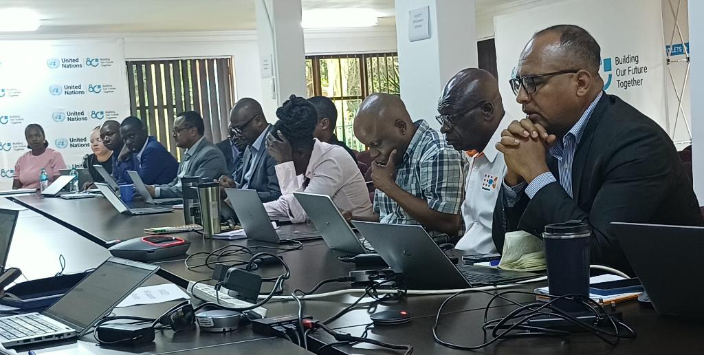 UN Zimbabwe tweet media