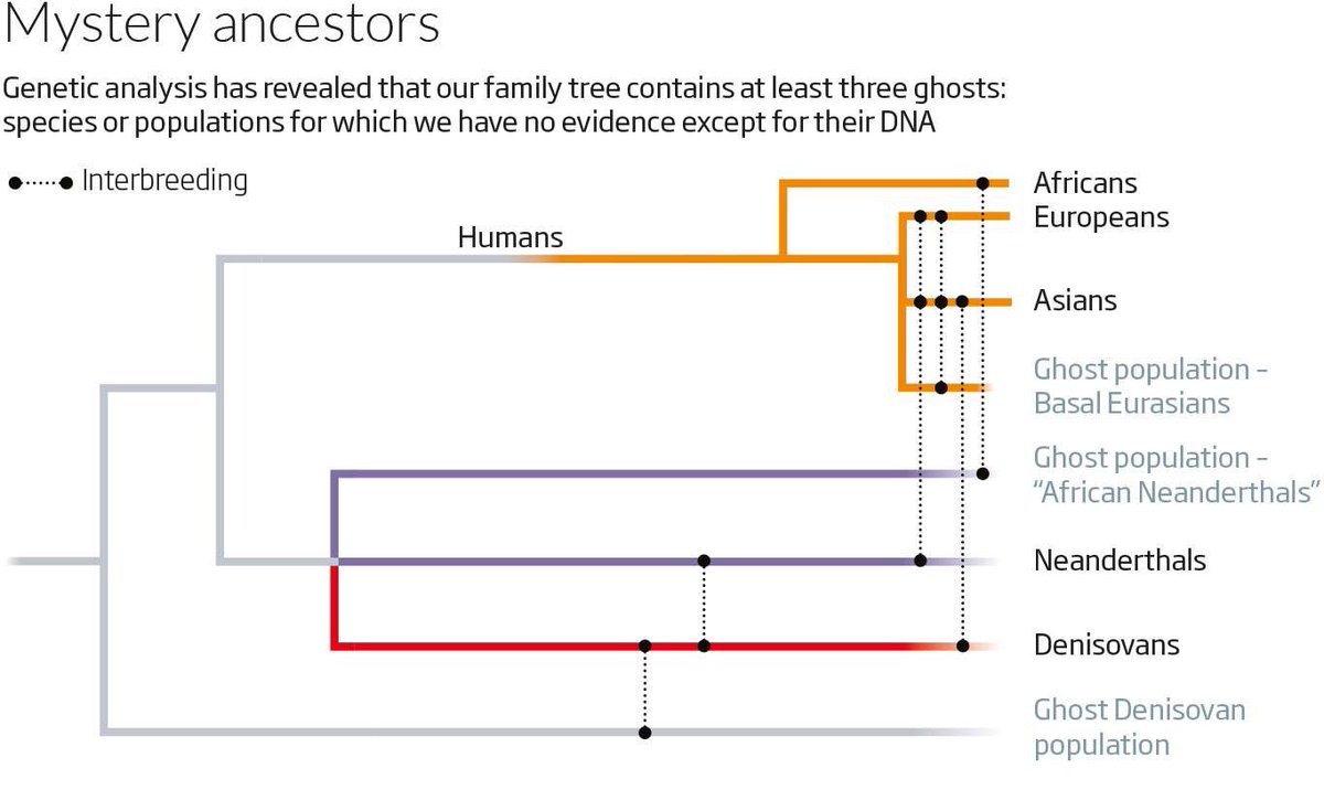 Surfing Bird tweet media