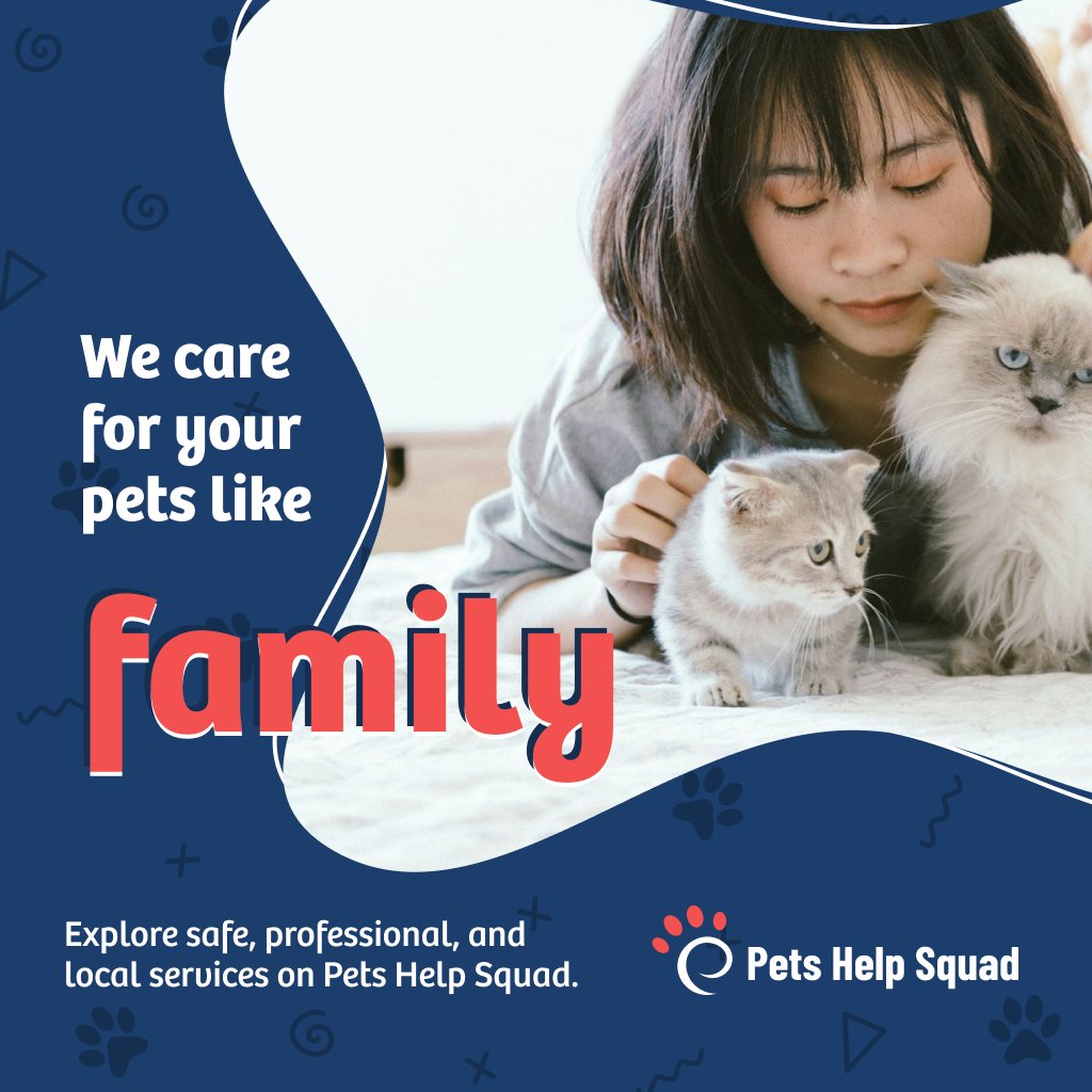 Petsinsync's tweet photo. We care for your pets like family. Explore safe, professional, and local services on Pets Help Squad.

#PetsHelpSquad #PetFamily #TrustedCare #LocalPetExperts https://t.co/g9391eNhHu