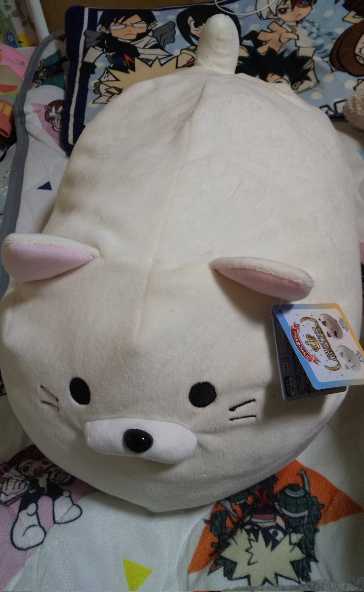 supikachu777's tweet photo. 念願のイトウさんを
お迎えしました！
#ごろねこサミット https://t.co/EtndU68Fap