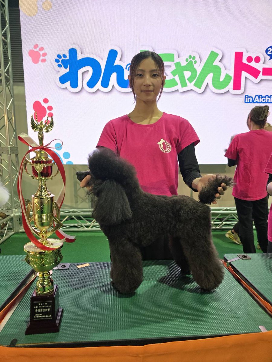 tbcpet's tweet photo. 2月22日愛知県スカイエキスポにてNAVA全国トリミングコンテストが開催されました🐩  結果は🏆１年生部門で【 最優秀技術賞受賞 】（部門全国１位）🏆２年生ペットカット部門でも【 最優秀技術賞受賞 】（部門全国１位）🎗️なんと全５部門中２部門で全国１位（最優秀技術賞）を受賞しました！
#tbcpet https://t.co/GjHIQWMQLM