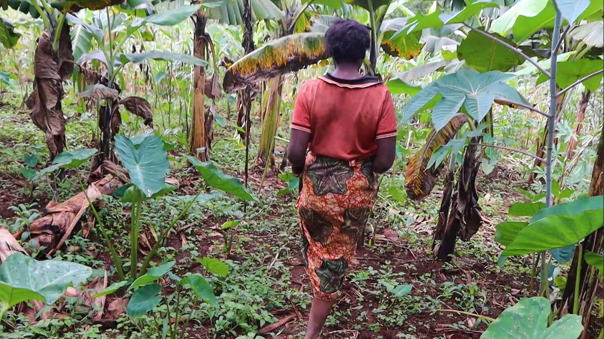 TV1 Rwanda tweet media