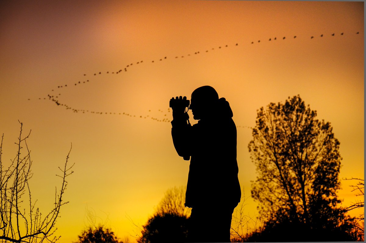 Eduardo Viñuales tweet media