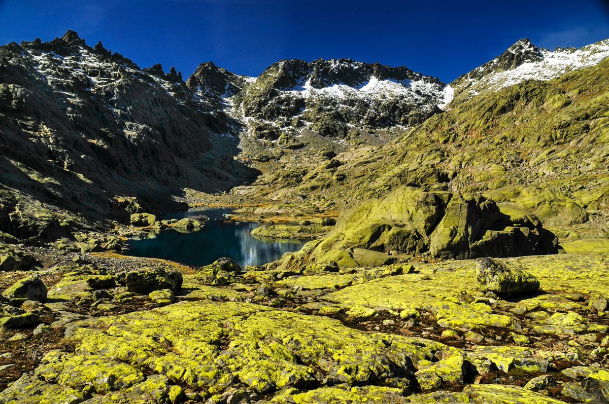 Eduardo Viñuales tweet media