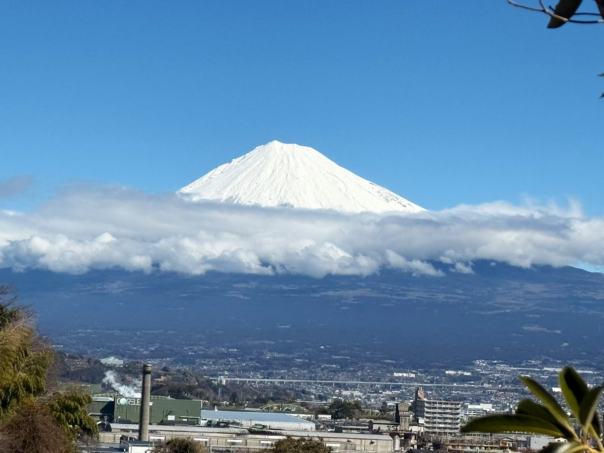 こんばんは♪ 今年も沈丁花咲きました✤ 新しくお迎えしたジャスミンと
