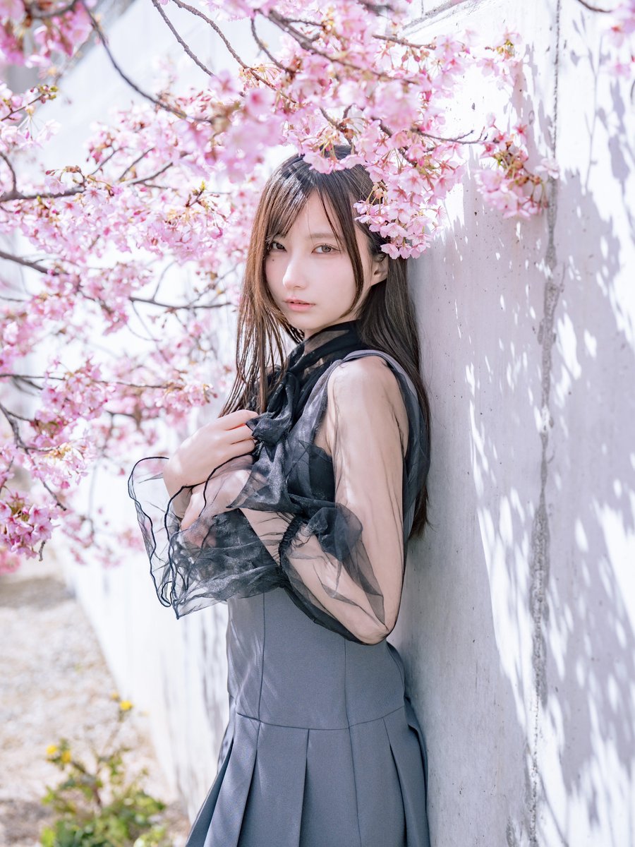 ひなかみお🐬🪽 tweet media