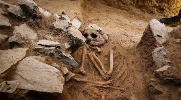 میم.ر.مفید tweet media