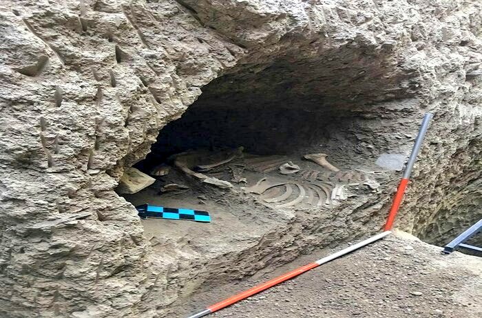 میم.ر.مفید tweet media