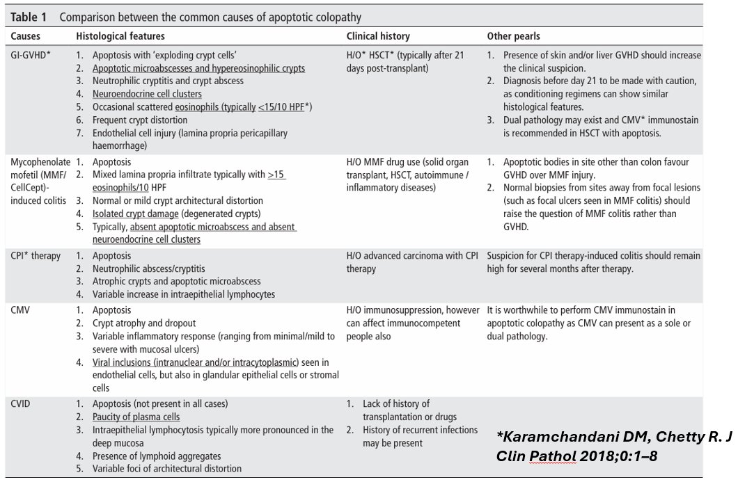 samathatoopran's tweet photo. Sharing an overview on the various differential diagnosis and clinical pearls on apoptotic entropathy by the pathologist Dr. Karamchandani
#ECNeph @ISNeducation @ISNkidneycare @Dilushiwijay @myadla https://t.co/trS4O0GOn8