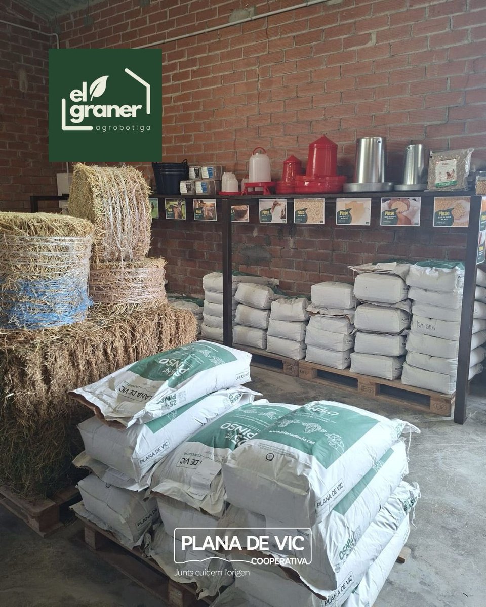 Plana de Vic tweet media