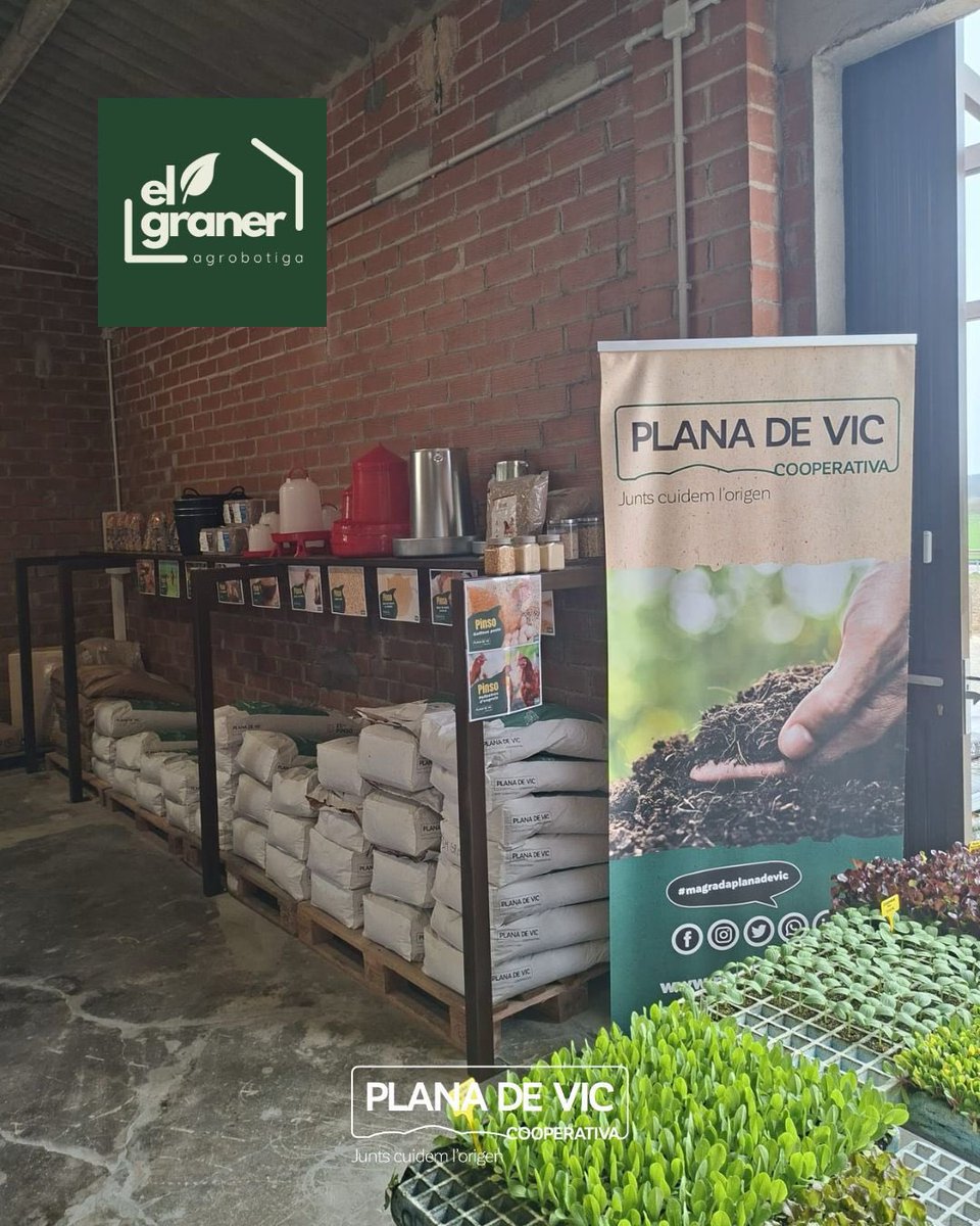 Plana de Vic tweet media