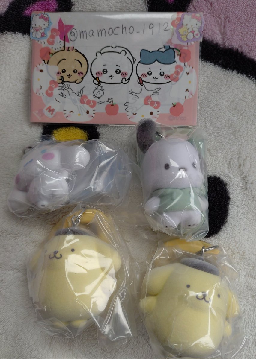 まもち🐶 tweet media