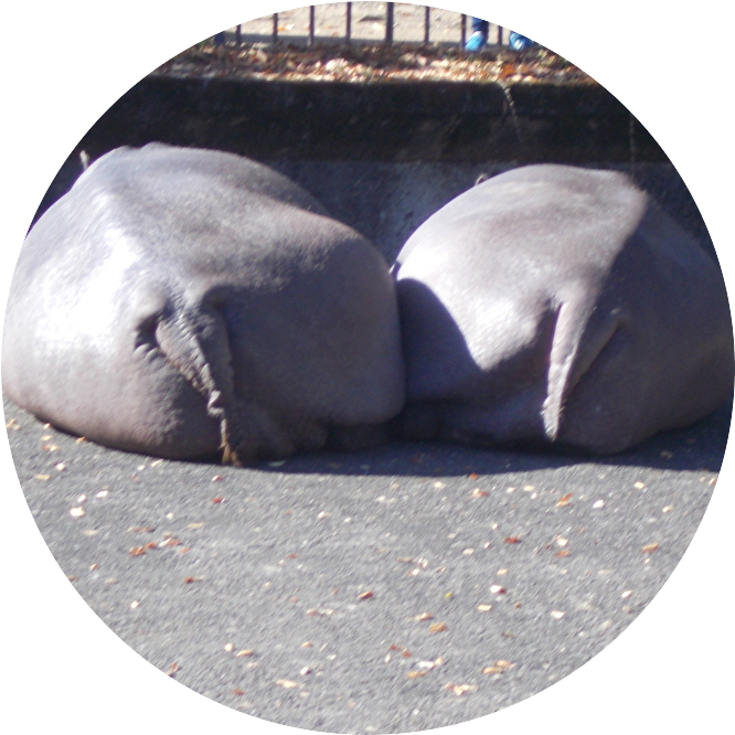 UvpPZx2HJGsAiHR @d6QEn02NunQbmNd @chie93730682 こんばんは