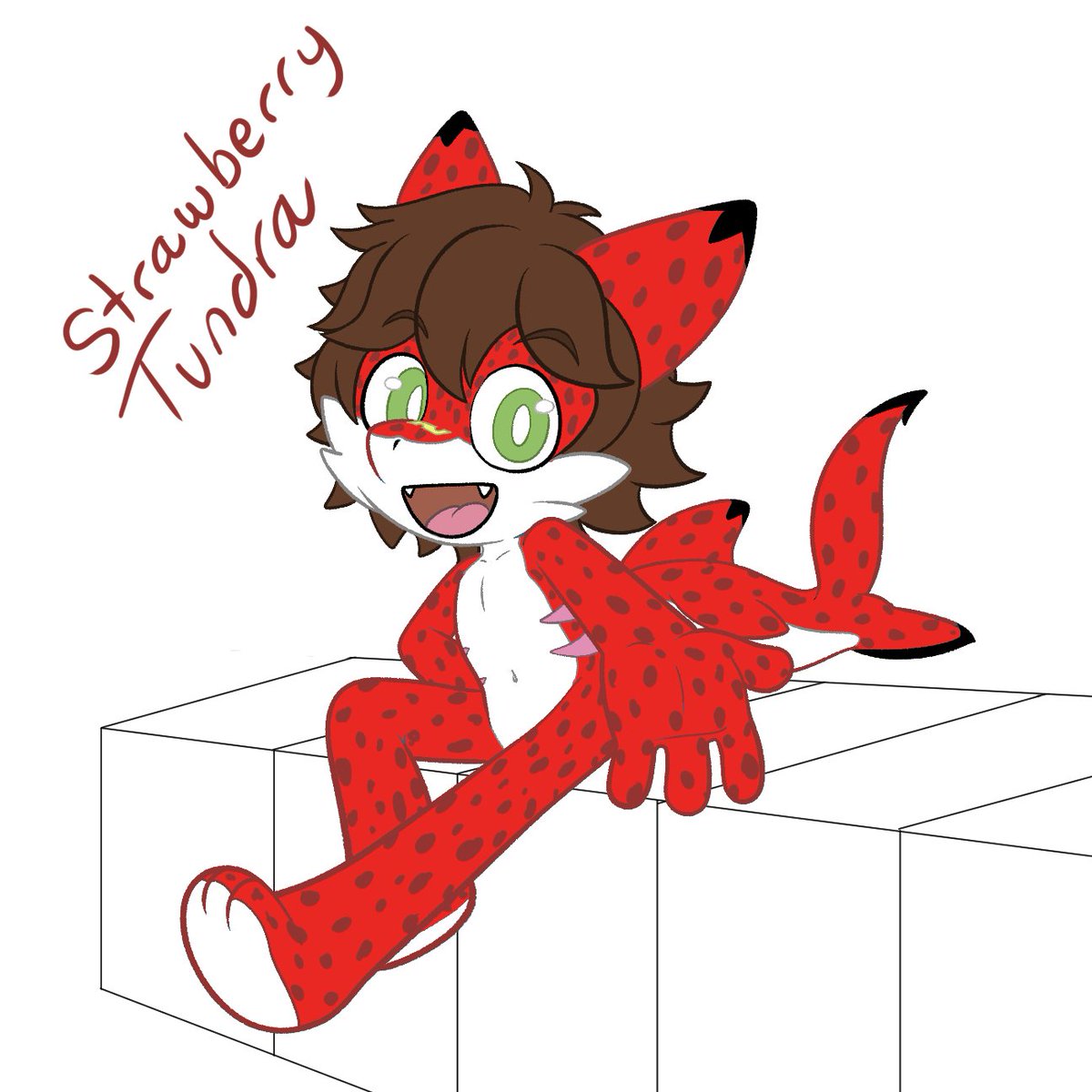 Tundra Shark ➡️ TFF tweet media