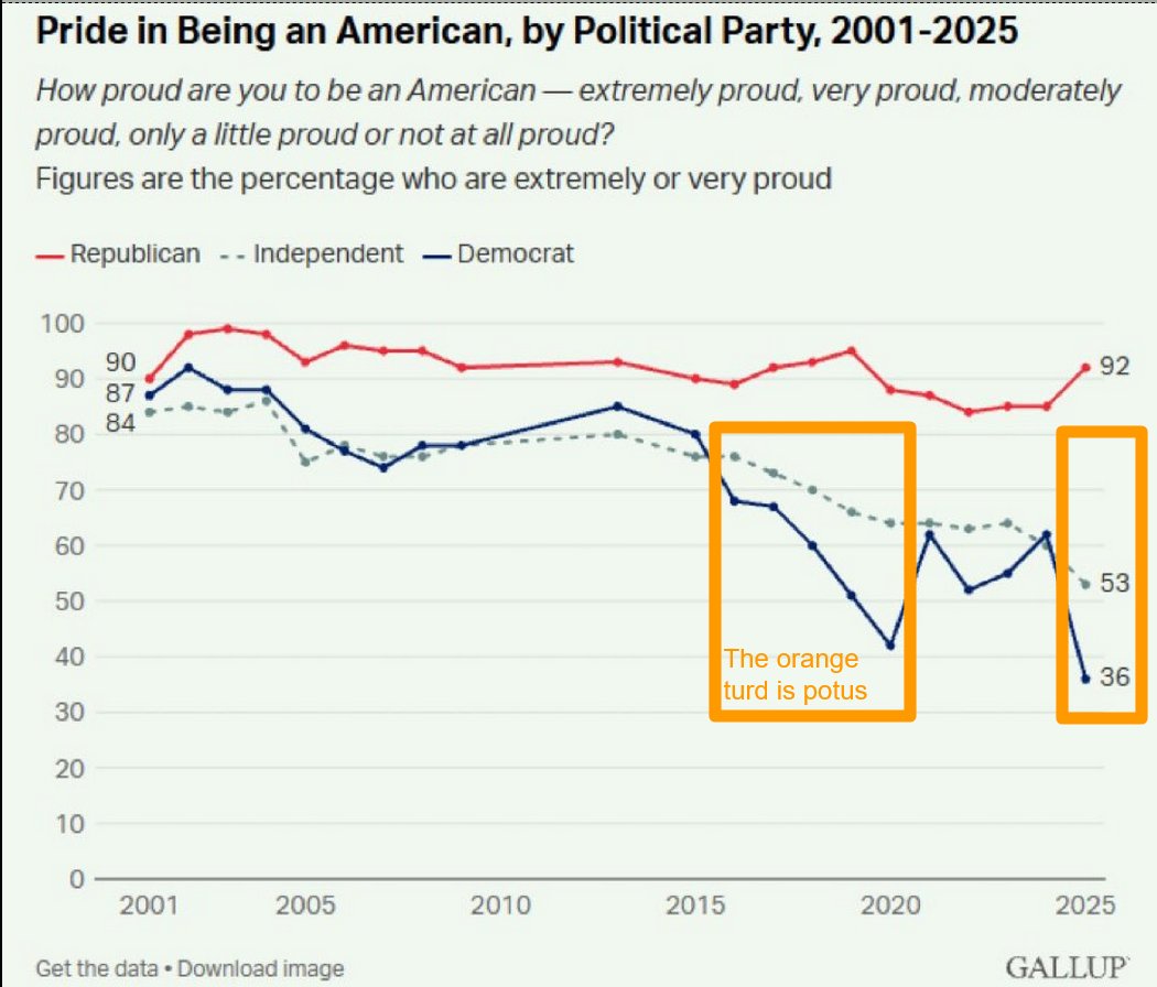 Paul Muller tweet media