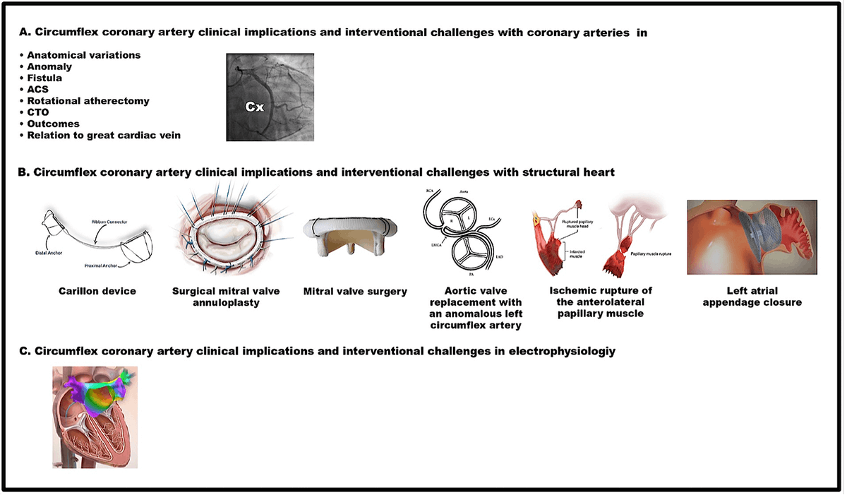 Reviews in Cardiovascular Medicine tweet media
