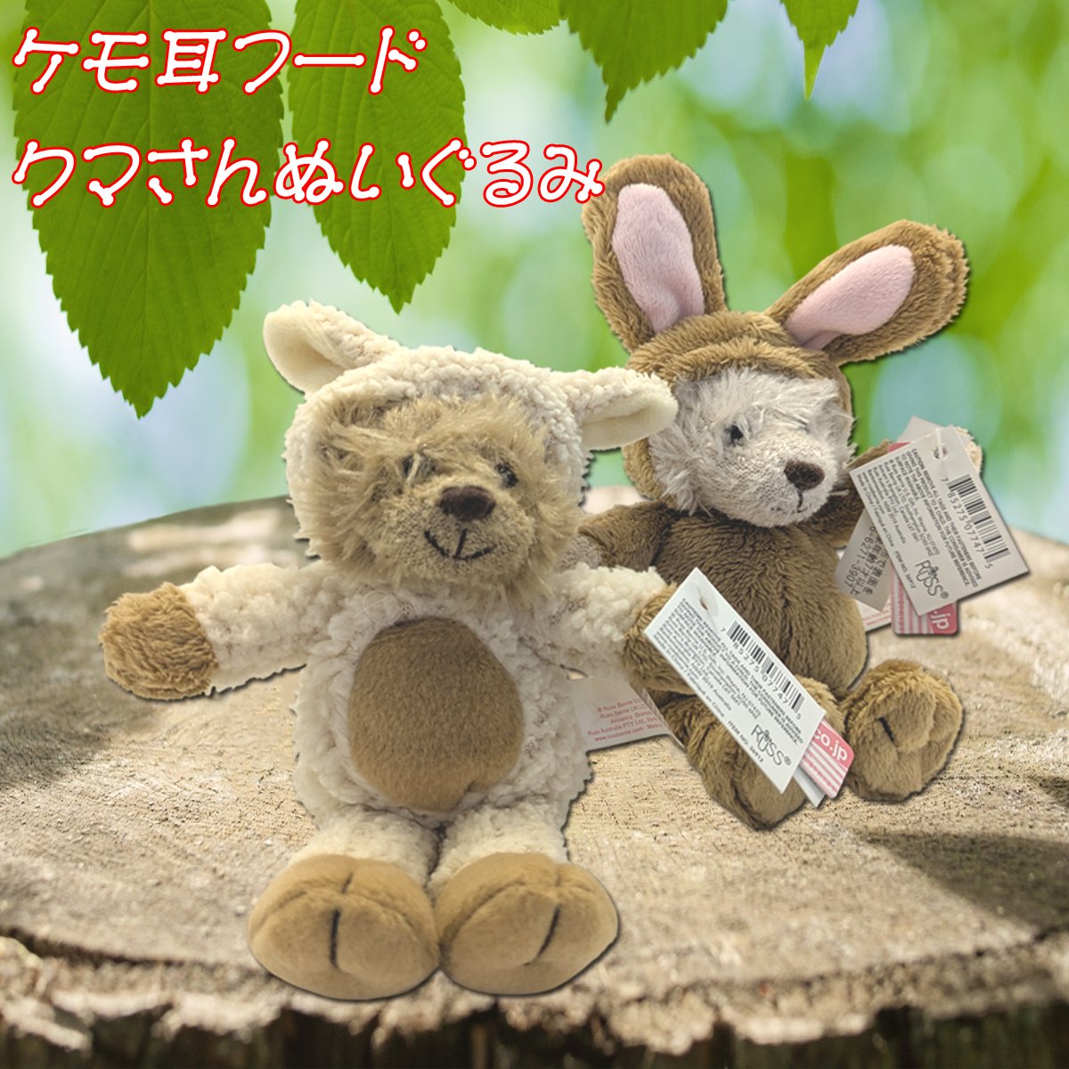 変身！うさ耳フードのクマさん✨ うさぎに変身したクマさんの