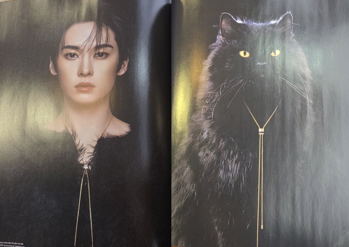 hallofmiso's tweet photo. this page spread is genuinely insane i'm so obsesseddddd https://t.co/hL9U139Uc2